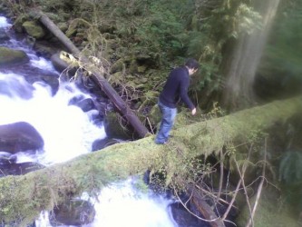 Mestre Gulliver Climbing the trees at Multnomah Falls